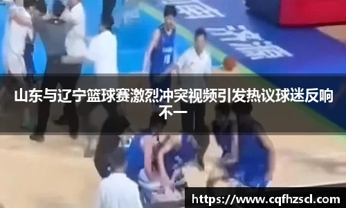山东与辽宁篮球赛激烈冲突视频引发热议球迷反响不一